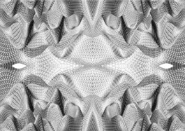  PEP-Programm-entwurfsbasierte-Promotion-Technische-Universitaet-Berlin_Boltenstern