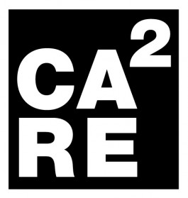 PEP – Programm entwurfsbasierte Promotion