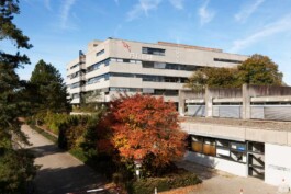 PEP – Programm entwurfsbasierte Promotion