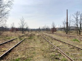 PEP – Programm entwurfsbasierte Promotion